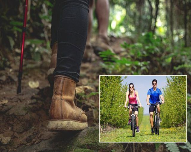 Walkers and cyclists on trails near the Dog and Partridge