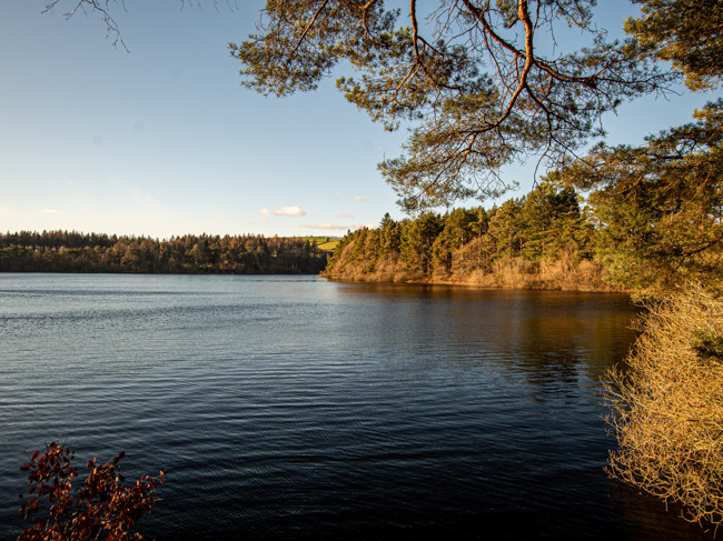 Langsett Reservoir shoreline and woodland