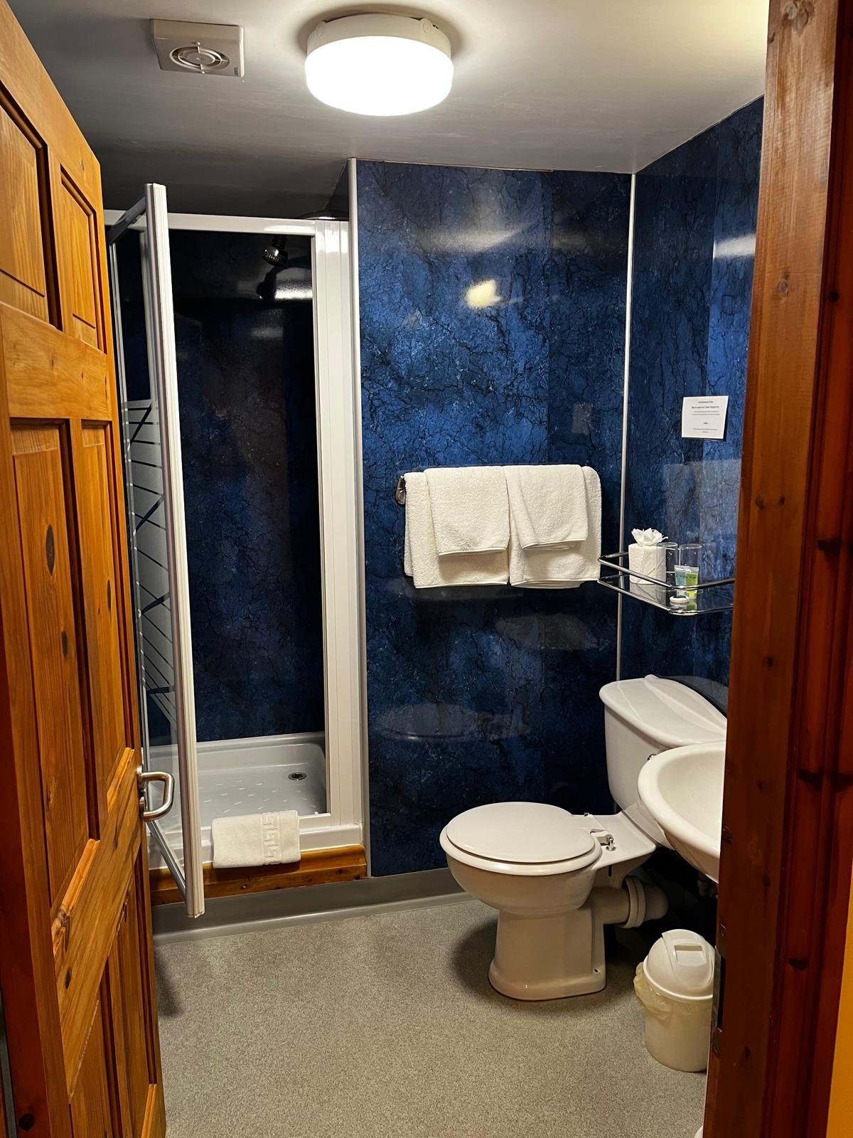 standard twin room shower room at the dog and partridge